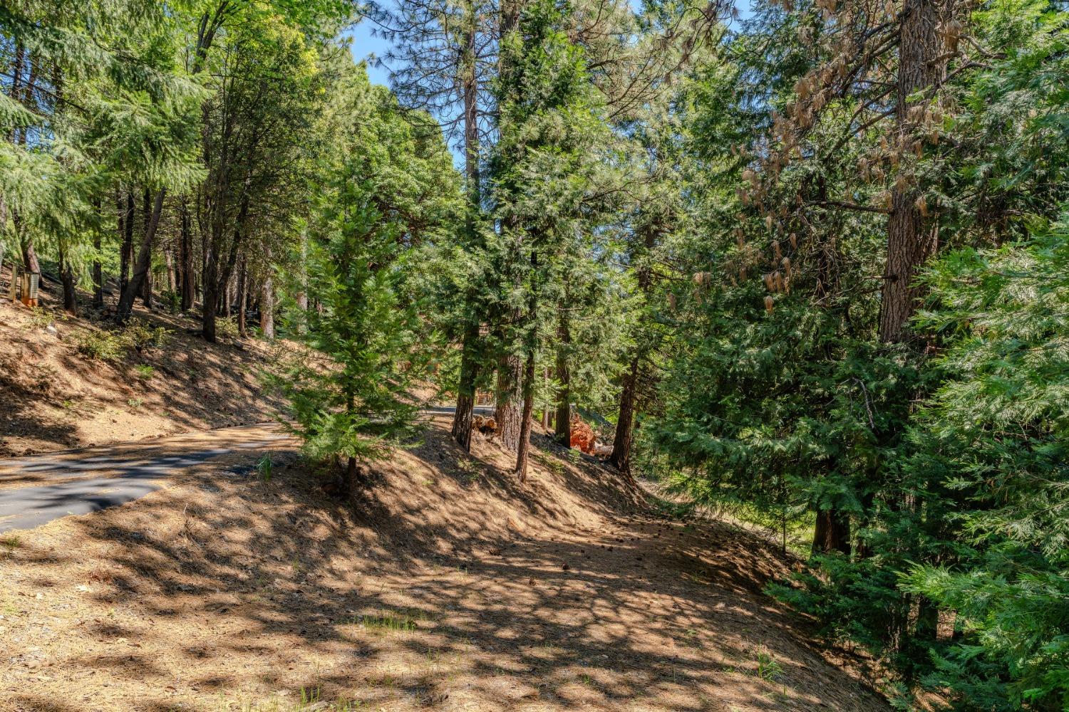 Detail Gallery Image 53 of 66 For 18720 Circle View Dr, Pioneer,  CA 95666 - 3 Beds | 3 Baths