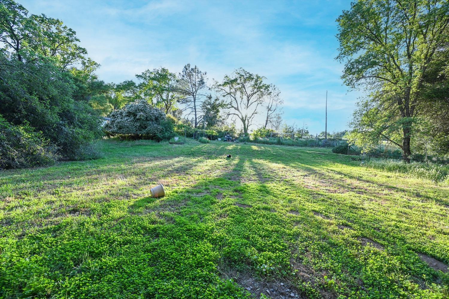 Detail Gallery Image 24 of 70 For 13930 Fiddletown Rd, Fiddletown,  CA 95629 - 3 Beds | 2/1 Baths