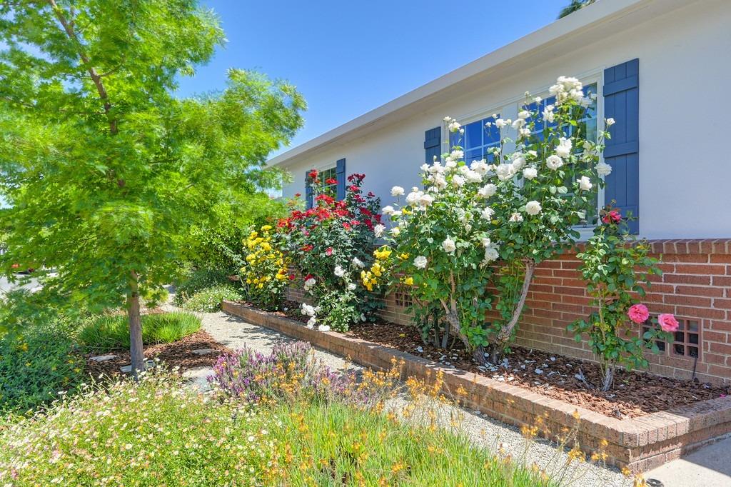 Detail Gallery Image 10 of 80 For 2901 61st St, Sacramento,  CA 95817 - 3 Beds | 1/1 Baths