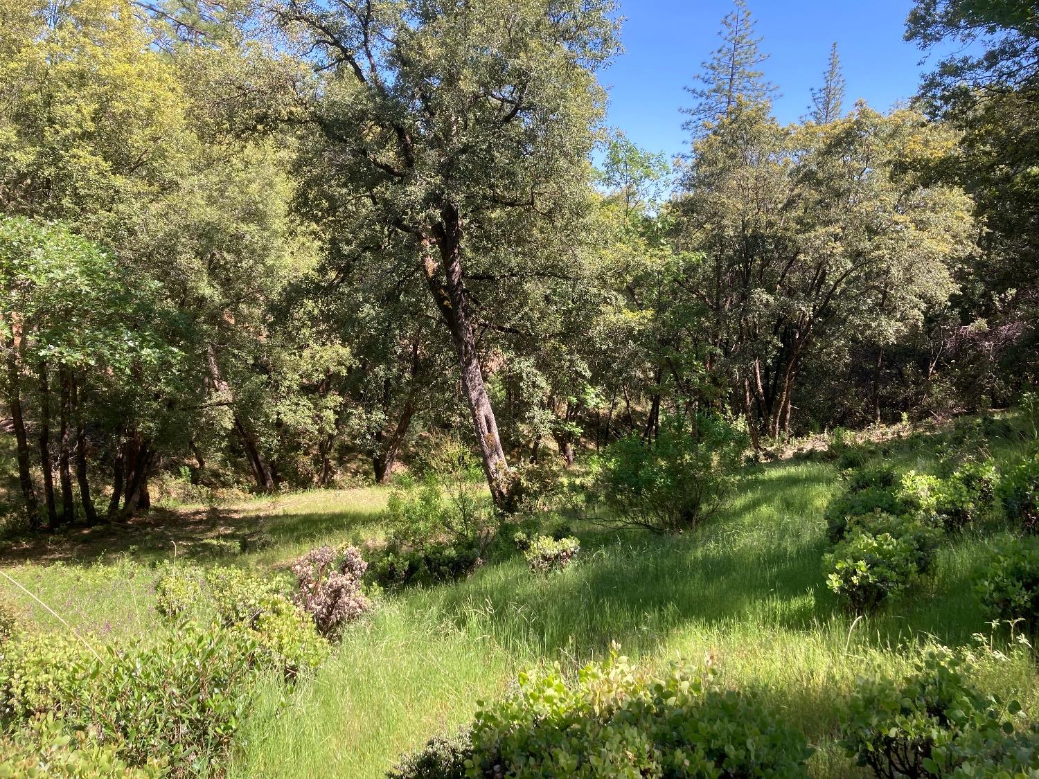 Detail Gallery Image 74 of 83 For 16688 Sonshine Ln, Sutter Creek,  CA 95685 - – Beds | – Baths