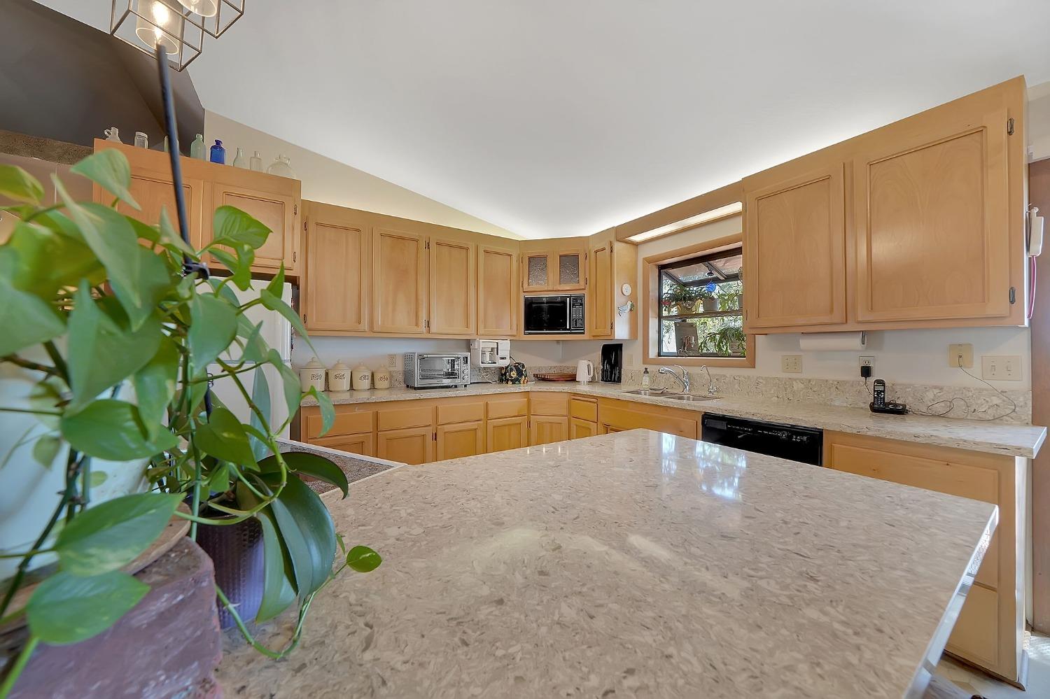 Detail Gallery Image 54 of 73 For 13771 West Ct, Pine Grove,  CA 95665 - 3 Beds | 2 Baths