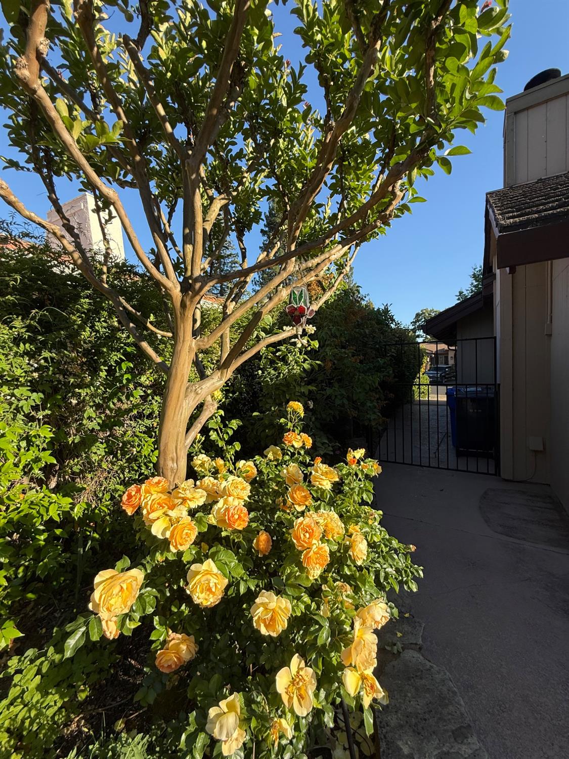 Detail Gallery Image 51 of 56 For 14704 Guadalupe Dr, Rancho Murieta,  CA 95683 - 4 Beds | 3 Baths
