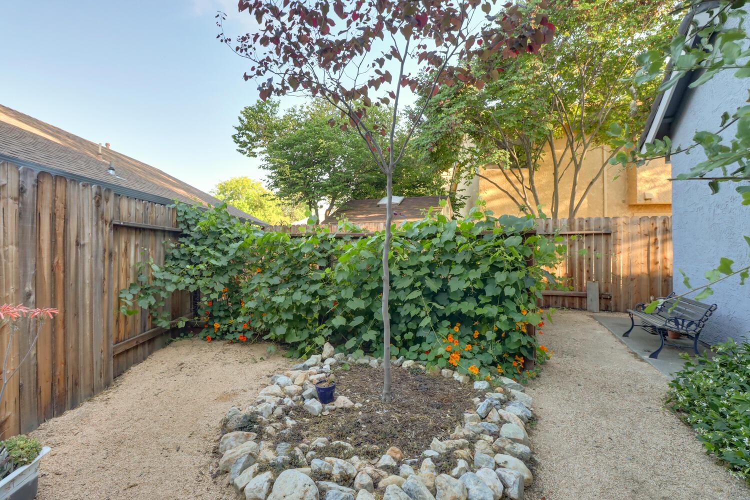 Garfield Terrace, Davis, California image 47