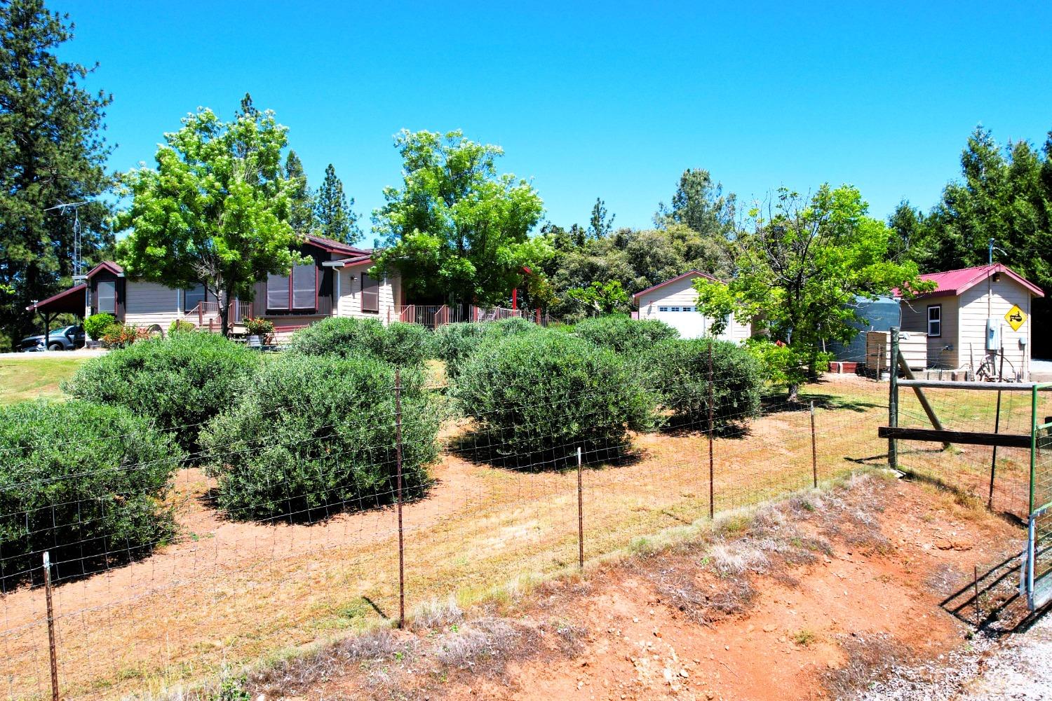 Detail Gallery Image 5 of 65 For 18145 Holly Rd, Fiddletown,  CA 95629 - 3 Beds | 2 Baths