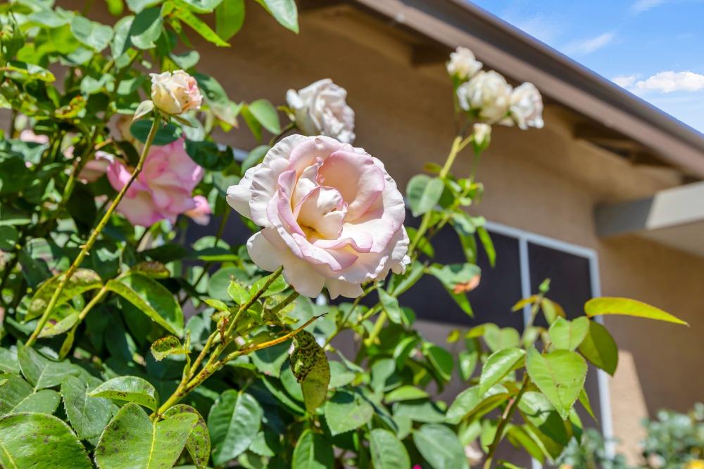 Detail Gallery Image 57 of 66 For 929 Jordine Way, Galt,  CA 95632 - 5 Beds | 2/1 Baths