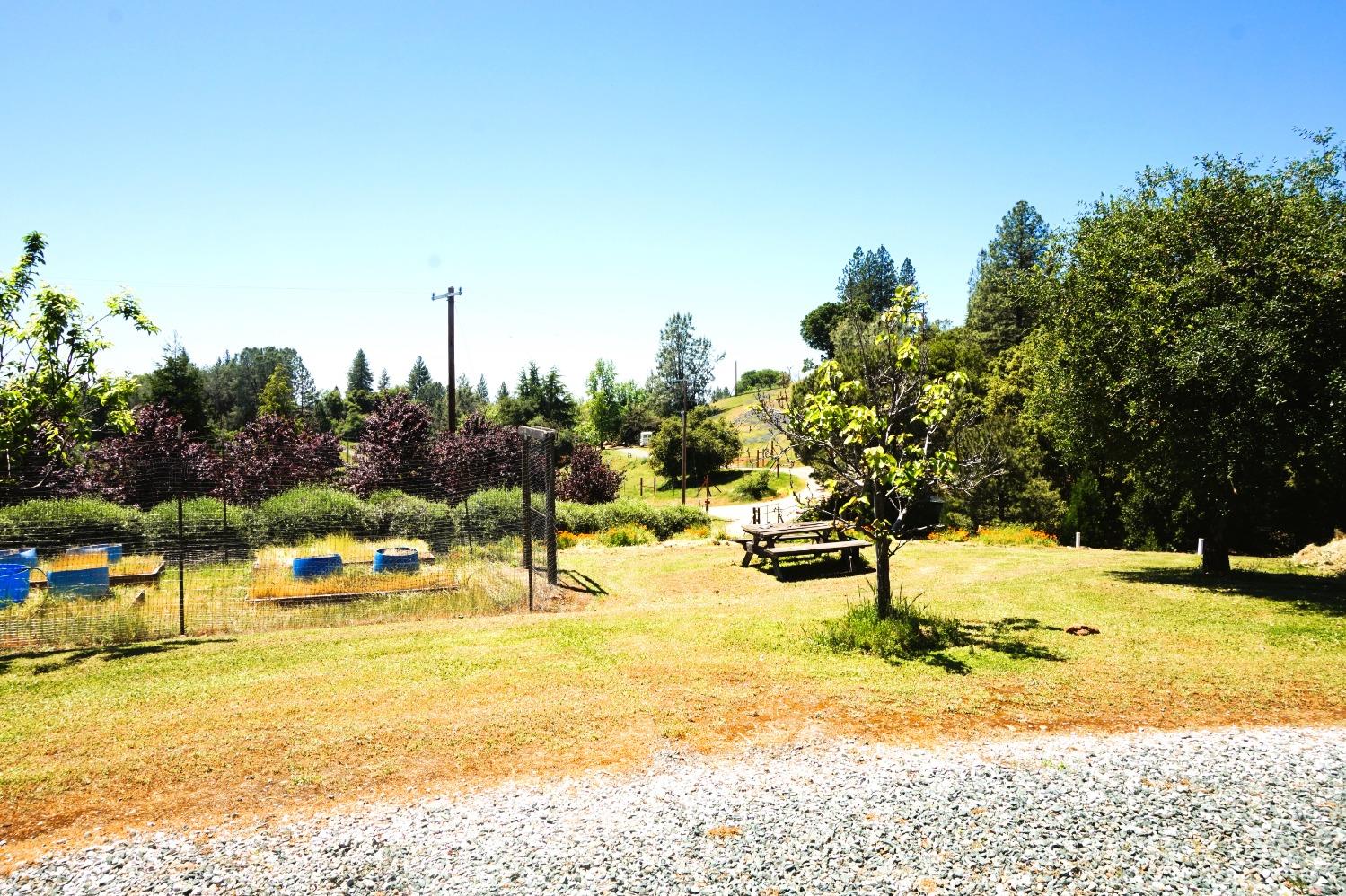 Detail Gallery Image 44 of 65 For 18145 Holly Rd, Fiddletown,  CA 95629 - 3 Beds | 2 Baths