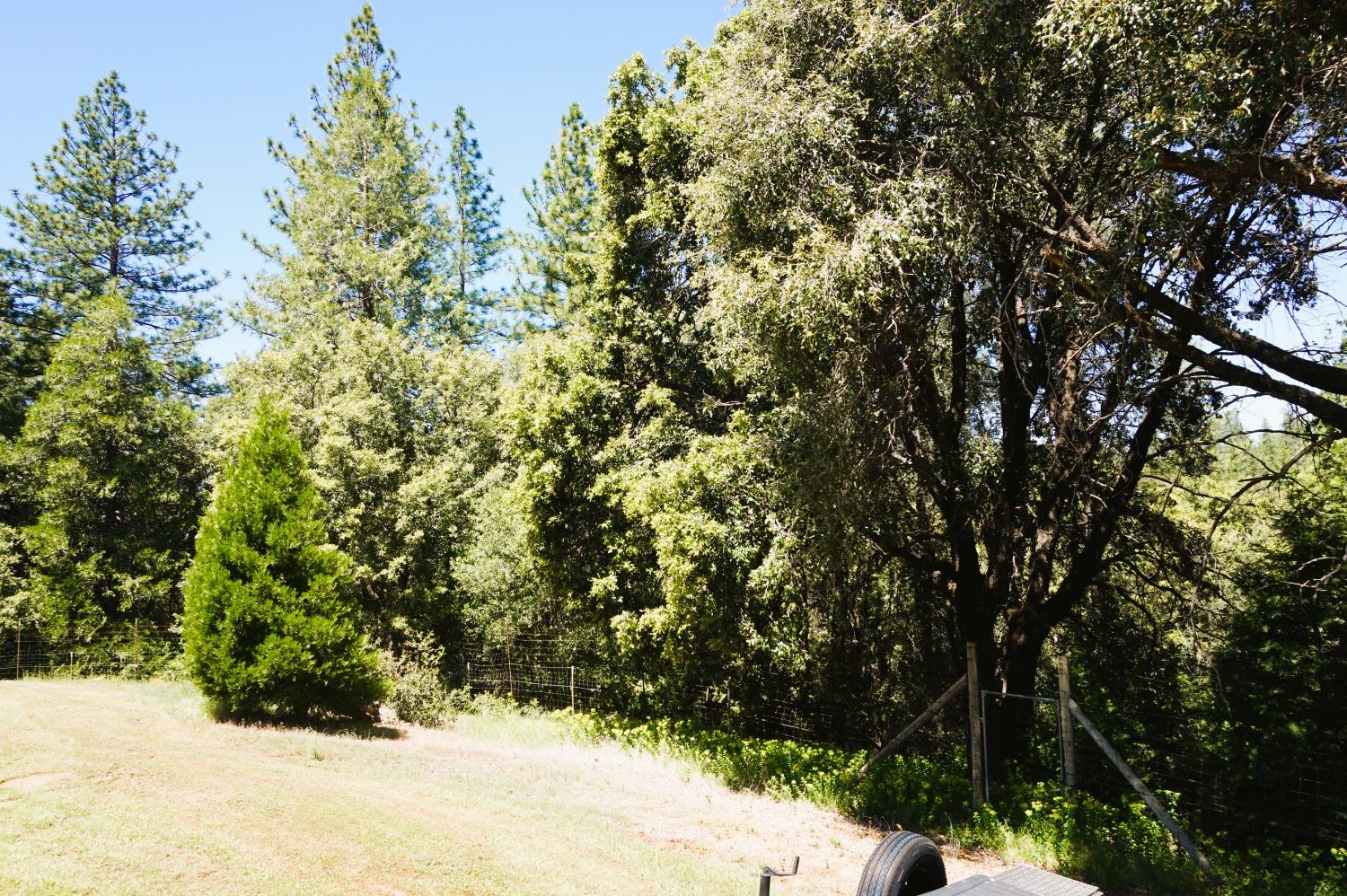 Detail Gallery Image 62 of 65 For 18145 Holly Rd, Fiddletown,  CA 95629 - 3 Beds | 2 Baths