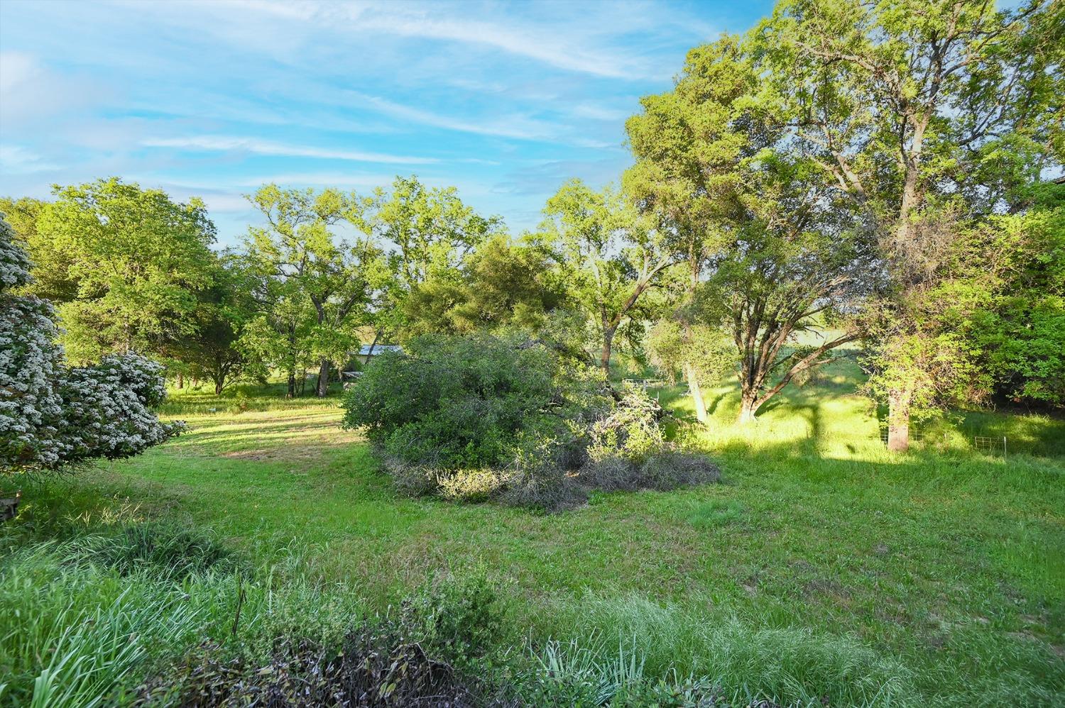Detail Gallery Image 28 of 70 For 13930 Fiddletown Rd, Fiddletown,  CA 95629 - 3 Beds | 2/1 Baths