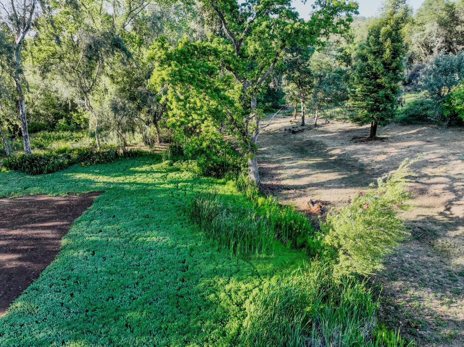 Marcos Lane, Marysville, California image 10