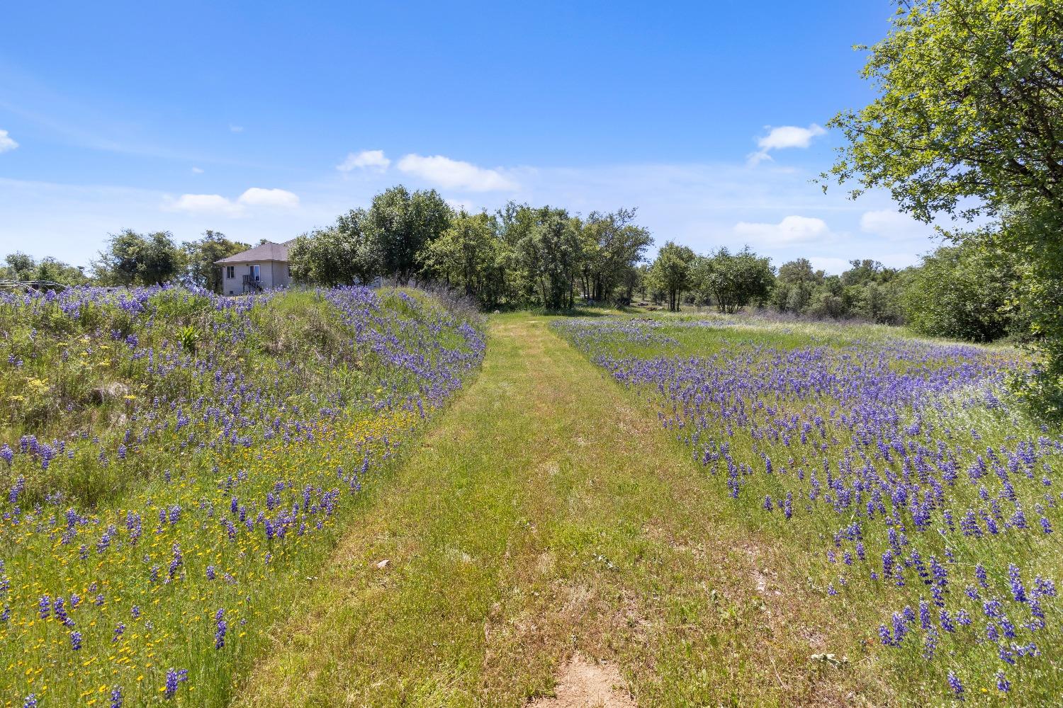 Detail Gallery Image 31 of 44 For 9593 Quail Meadow Ln, Oregon House,  CA 95962 - 3 Beds | 2 Baths