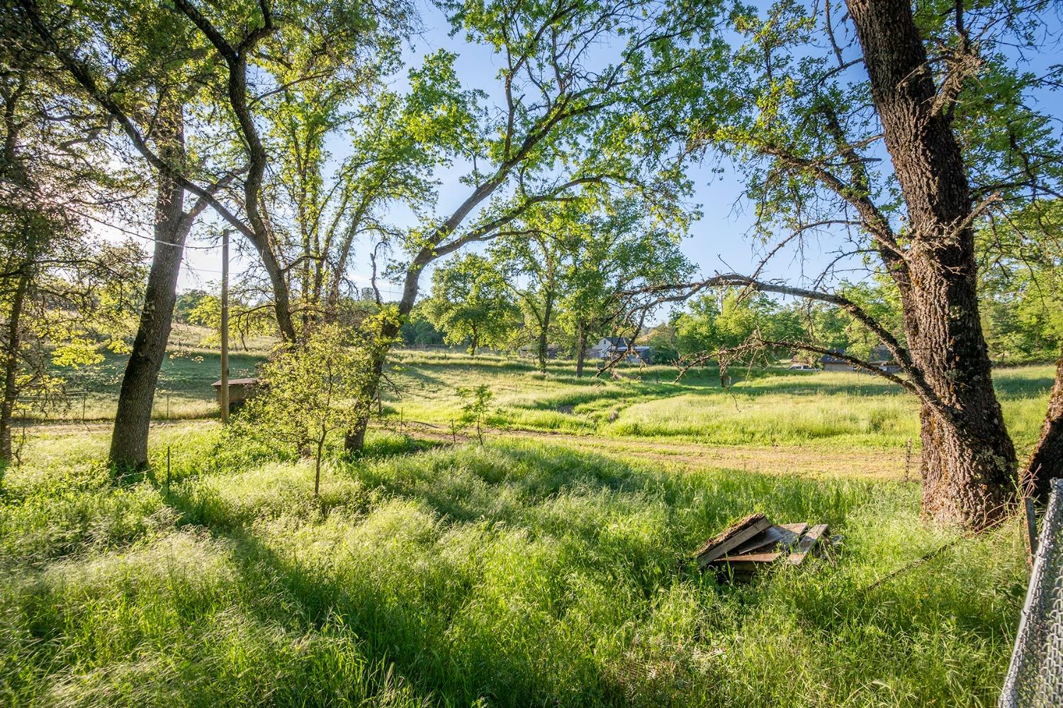 Detail Gallery Image 18 of 70 For 13930 Fiddletown Rd, Fiddletown,  CA 95629 - 3 Beds | 2/1 Baths