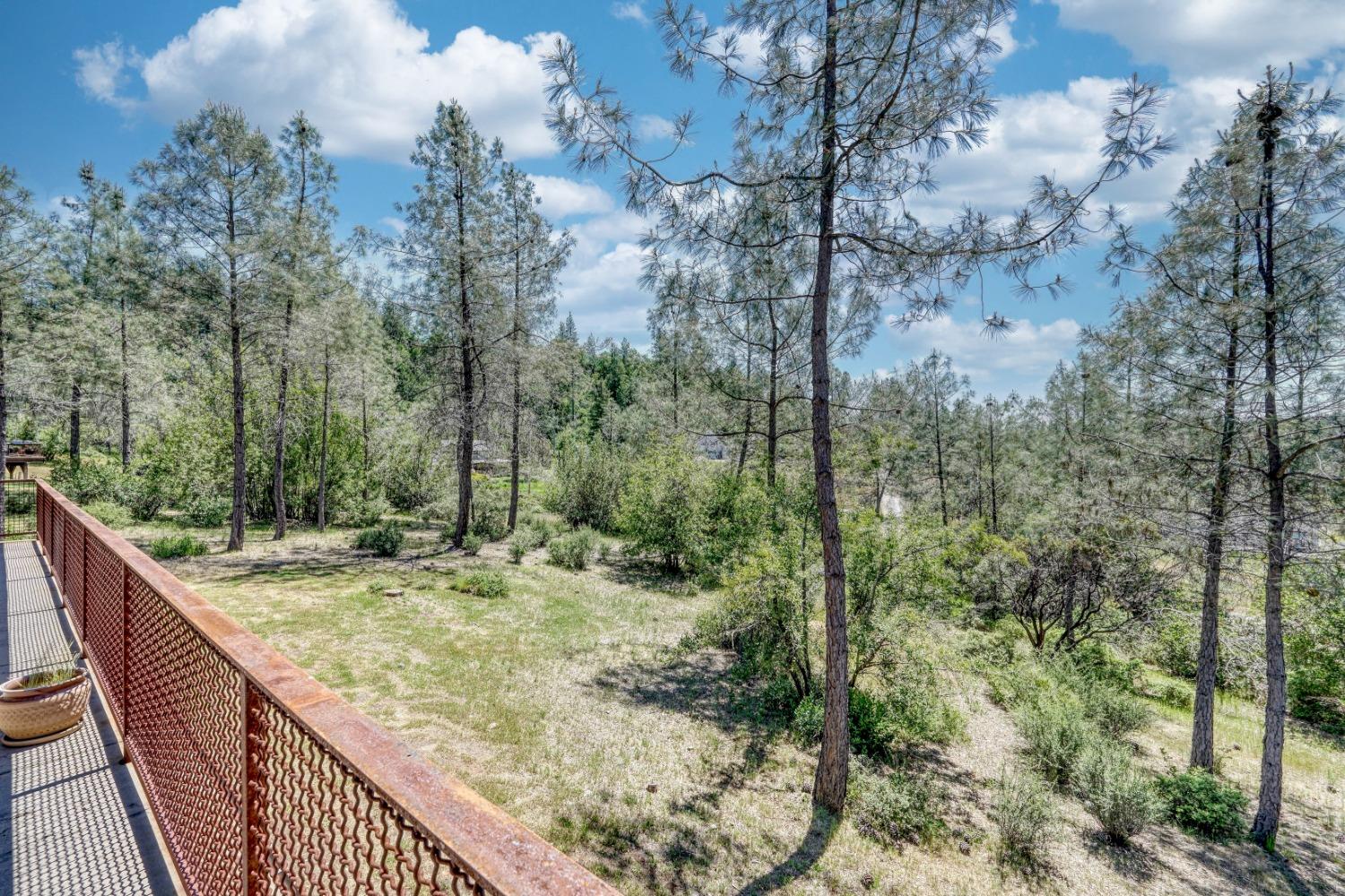 Detail Gallery Image 43 of 71 For 1470 Ponderosa Way, Colfax,  CA 95713 - 3 Beds | 2 Baths