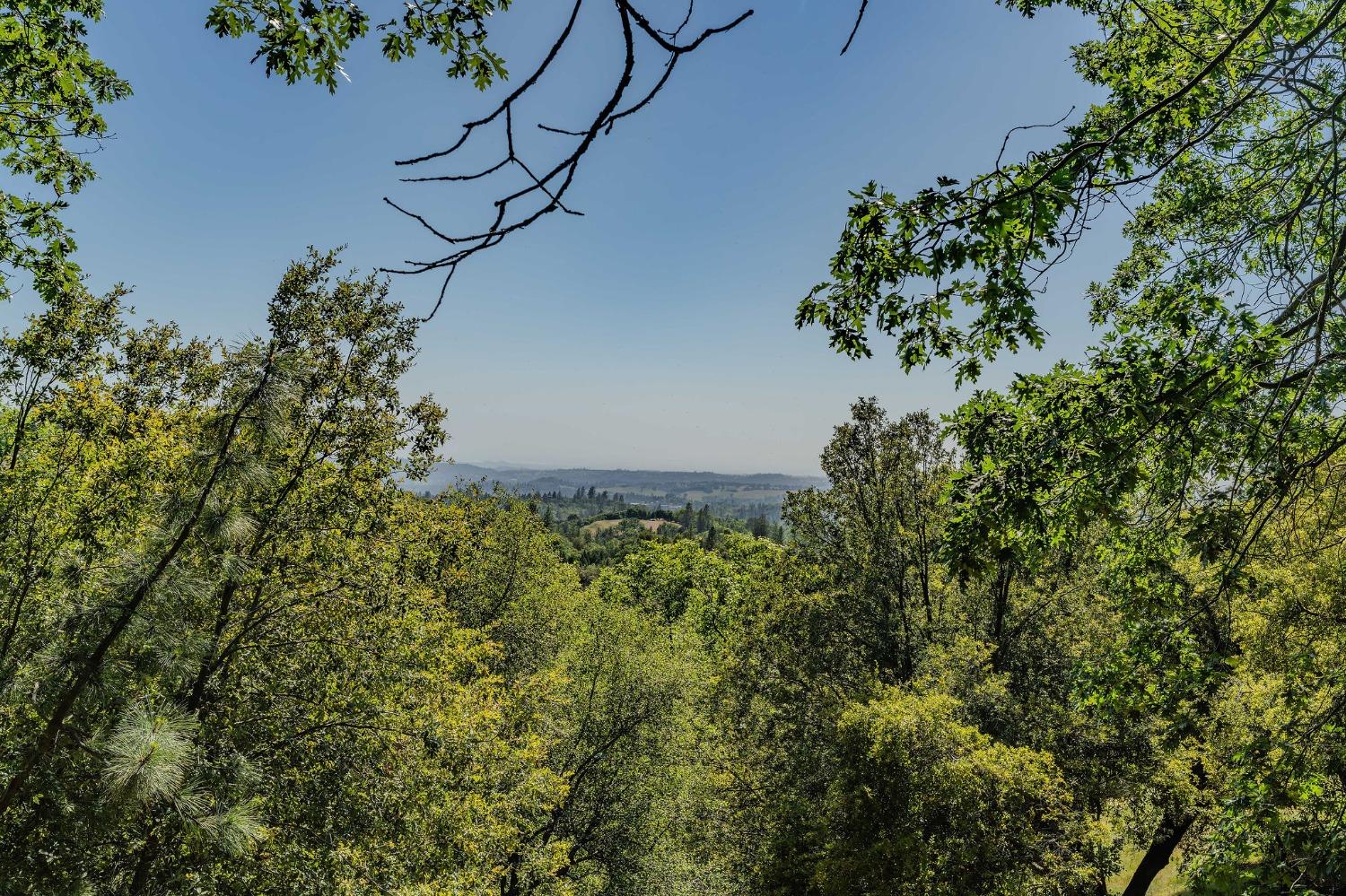 Detail Gallery Image 25 of 73 For 13771 West Ct, Pine Grove,  CA 95665 - 3 Beds | 2 Baths
