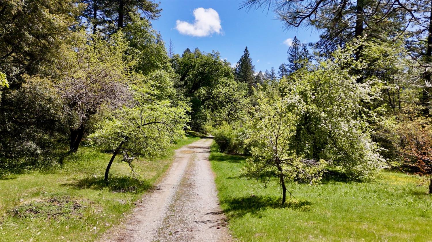 Detail Gallery Image 1 of 39 For Address Is Not Disclosed, Nevada City,  CA 95959 - – Beds | – Baths