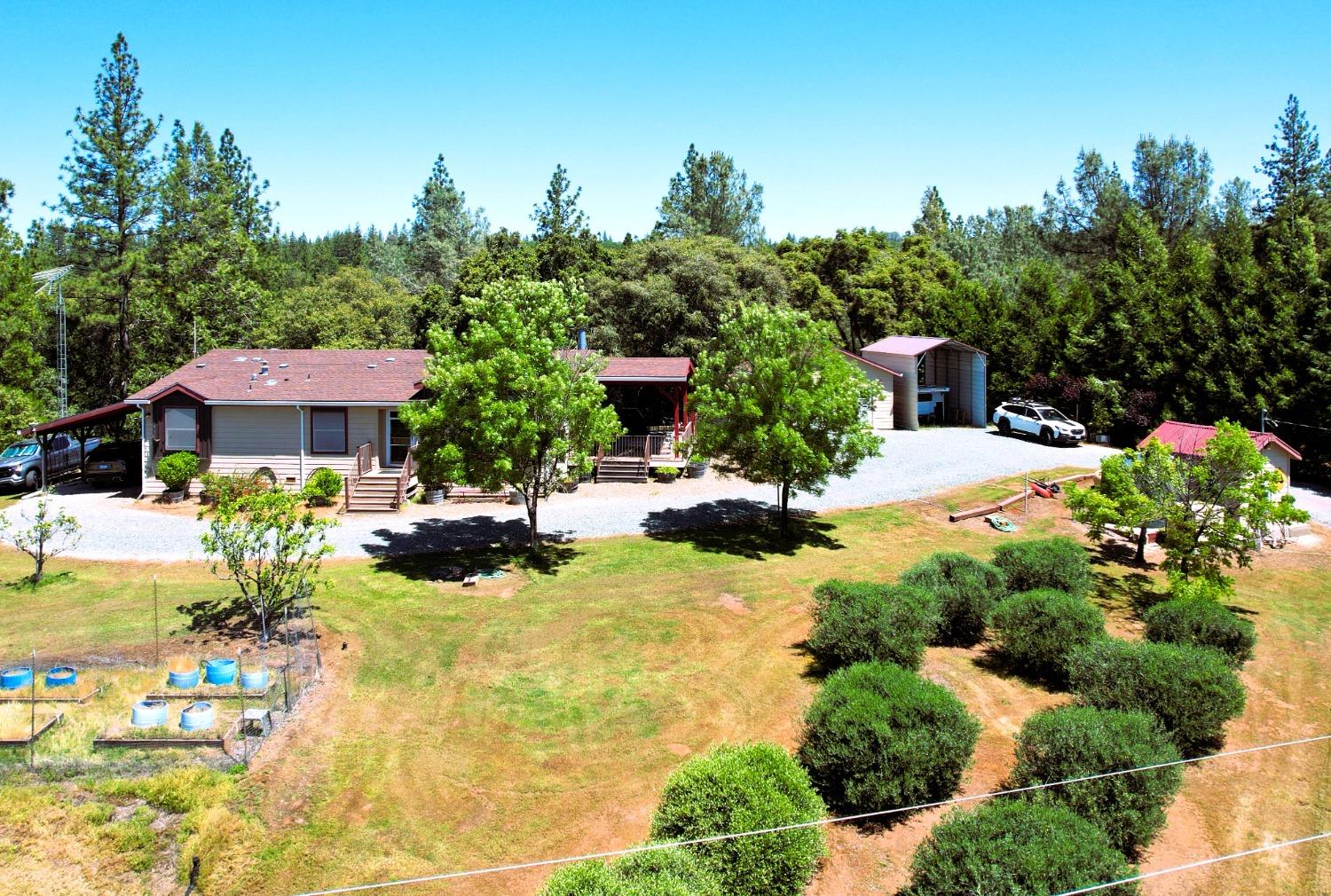 Detail Gallery Image 41 of 65 For 18145 Holly Rd, Fiddletown,  CA 95629 - 3 Beds | 2 Baths