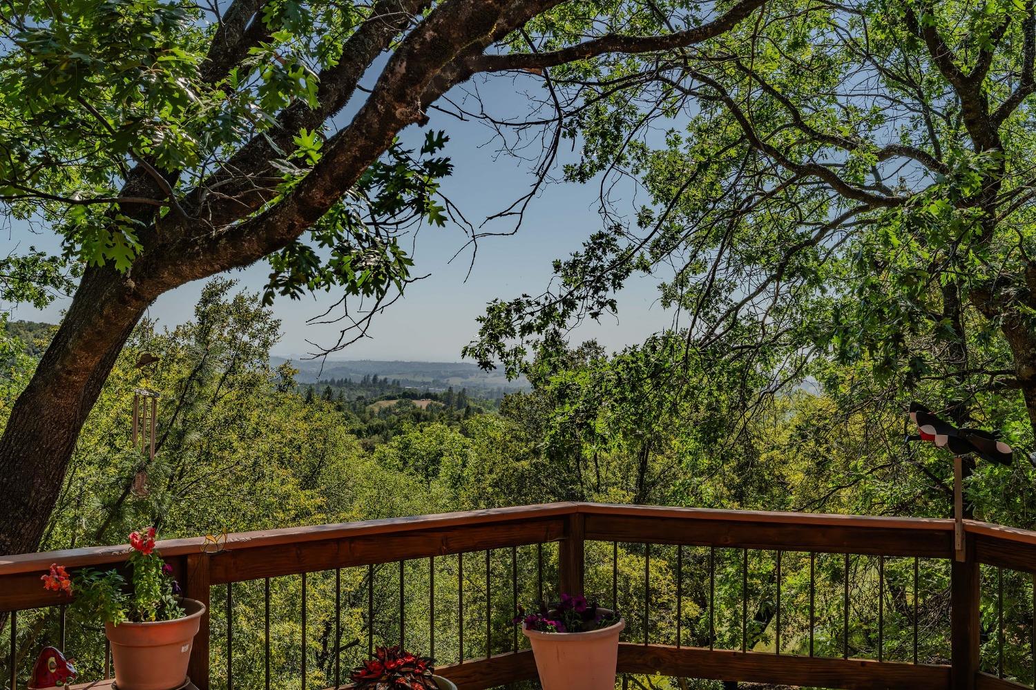 Detail Gallery Image 21 of 73 For 13771 West Ct, Pine Grove,  CA 95665 - 3 Beds | 2 Baths