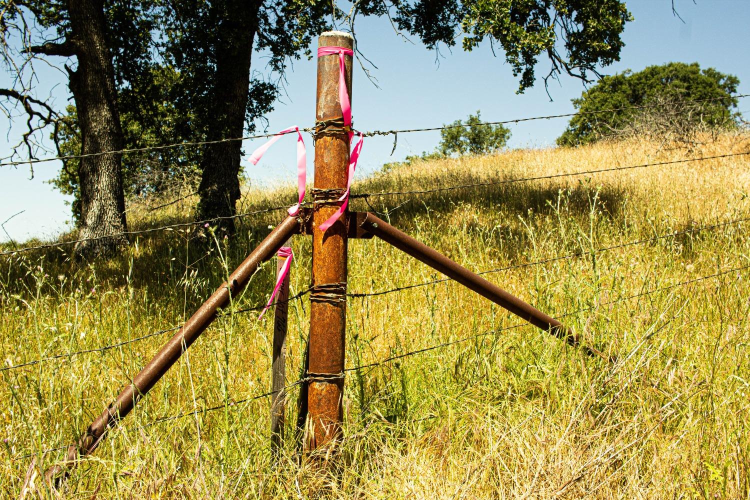 Detail Gallery Image 13 of 26 For 3070 State Hwy 132, La Grange,  CA 95329 - – Beds | – Baths