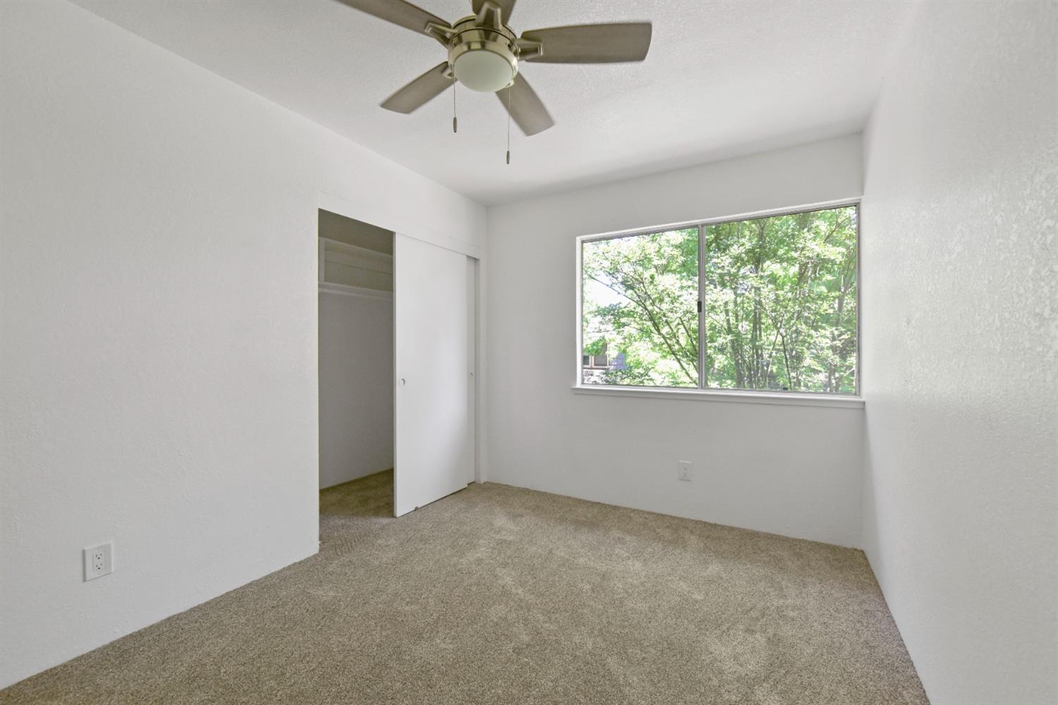 Photo #13: 225058863 Listing: Photo #13
