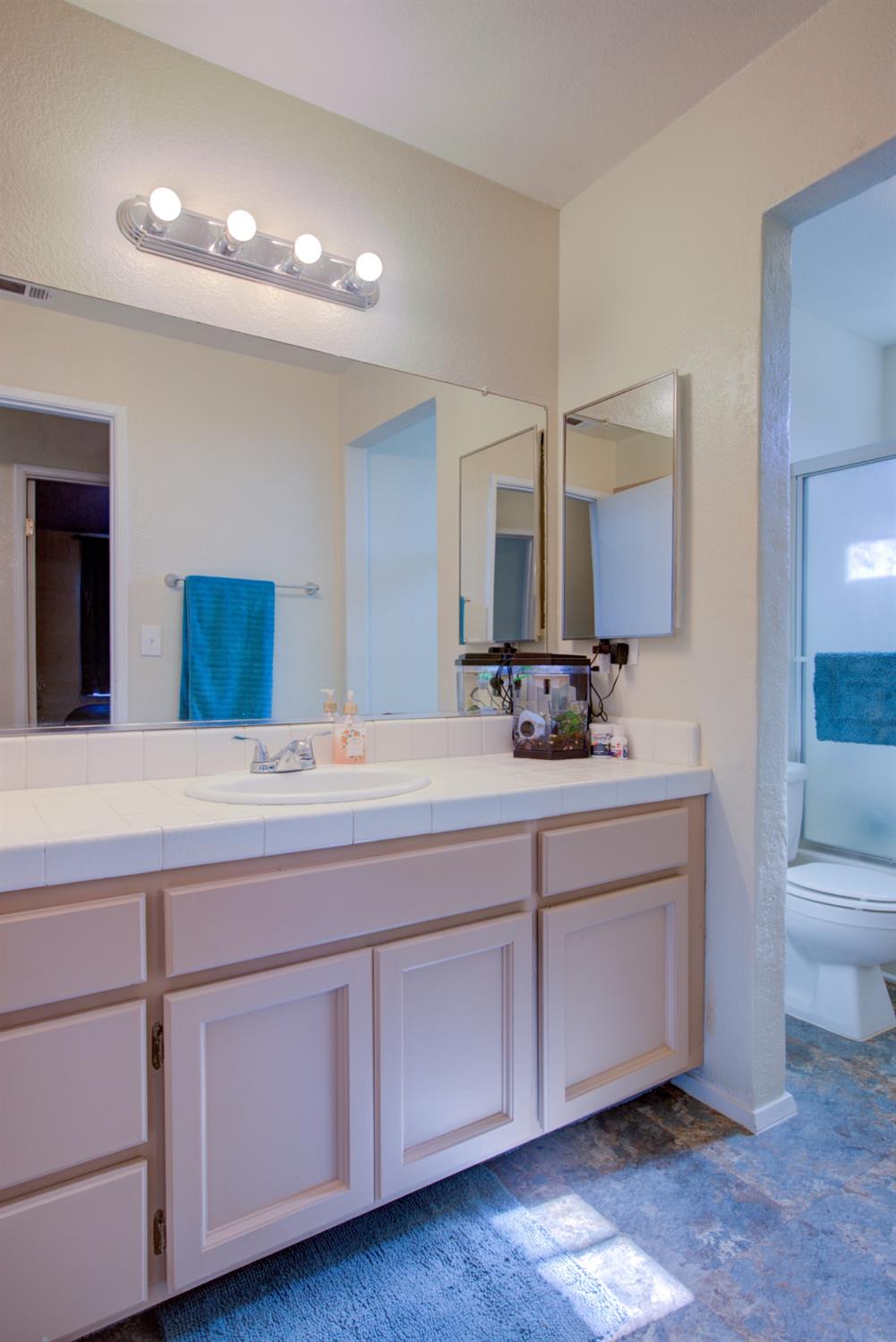 Detail Gallery Image 39 of 59 For 1473 Sandy Creek Dr, Newman,  CA 95360 - 4 Beds | 3 Baths