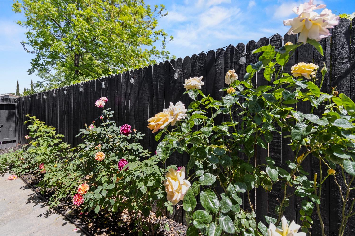 Detail Gallery Image 41 of 45 For 3546 Treleaven Ct, Antelope,  CA 95843 - 2 Beds | 2 Baths