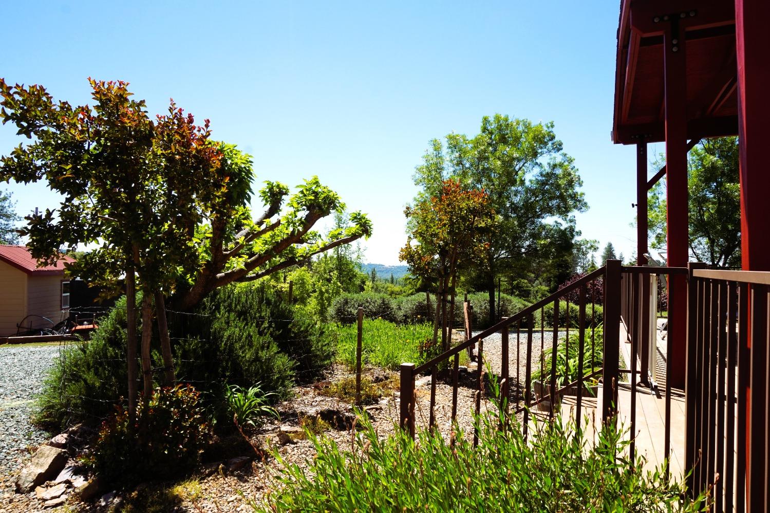 Detail Gallery Image 36 of 65 For 18145 Holly Rd, Fiddletown,  CA 95629 - 3 Beds | 2 Baths
