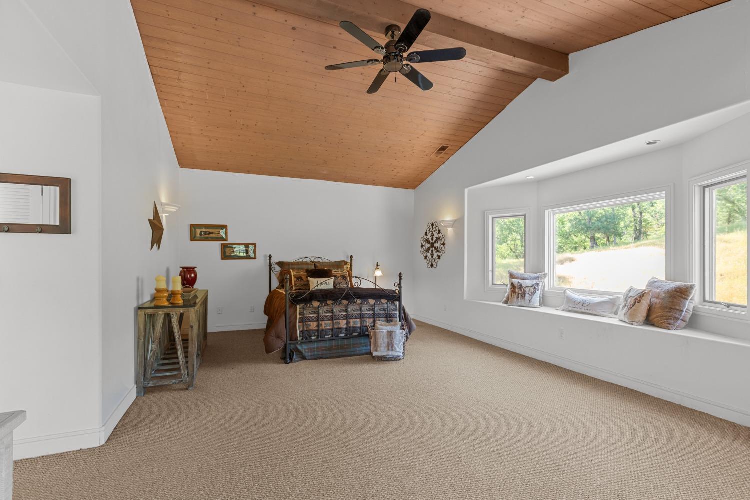 Detail Gallery Image 48 of 87 For 14801 Vaira Ranch Rd, Drytown,  CA 95699 - 4 Beds | 3 Baths