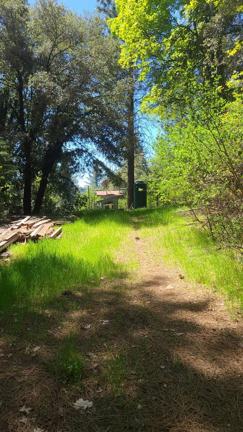 Detail Gallery Image 37 of 39 For Address Is Not Disclosed, Nevada City,  CA 95959 - – Beds | – Baths
