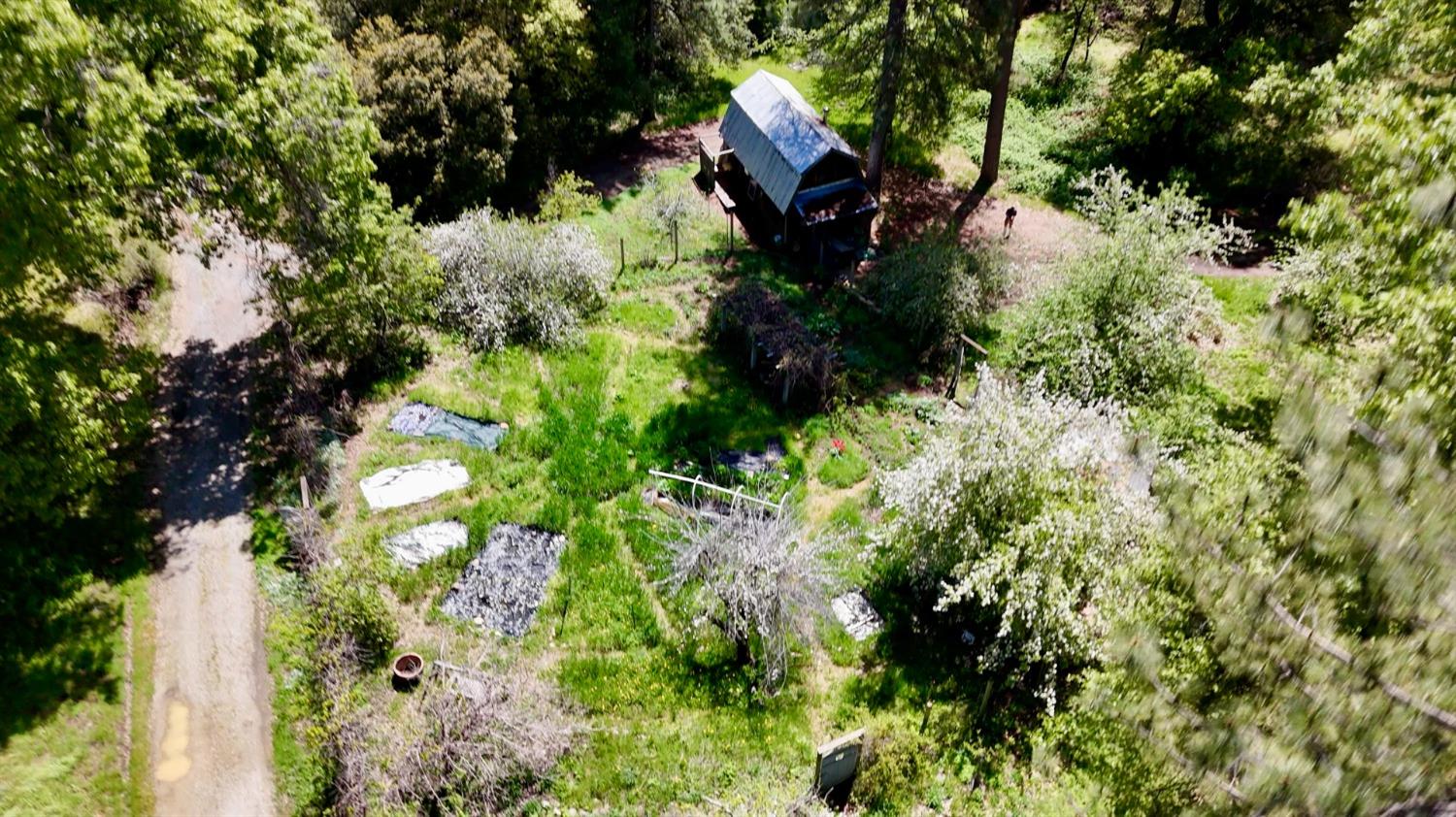 Detail Gallery Image 9 of 39 For Address Is Not Disclosed, Nevada City,  CA 95959 - – Beds | – Baths