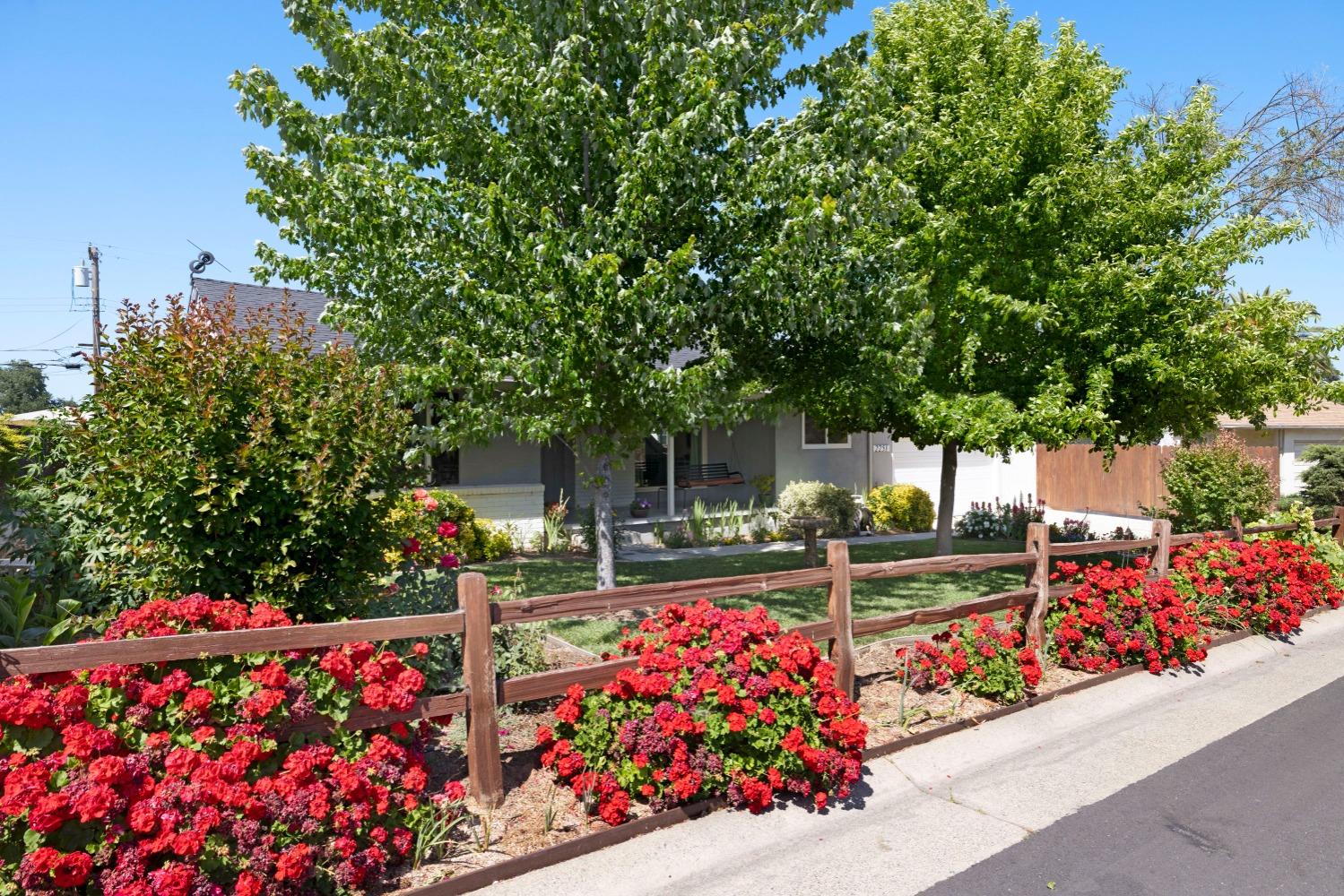 Tulip Way, Sacramento, California image 2