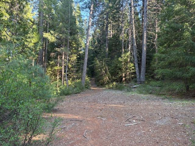Double Rainbow Rd, Nevada City, California image 10