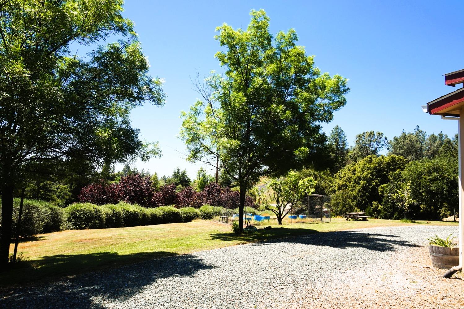 Detail Gallery Image 43 of 65 For 18145 Holly Rd, Fiddletown,  CA 95629 - 3 Beds | 2 Baths