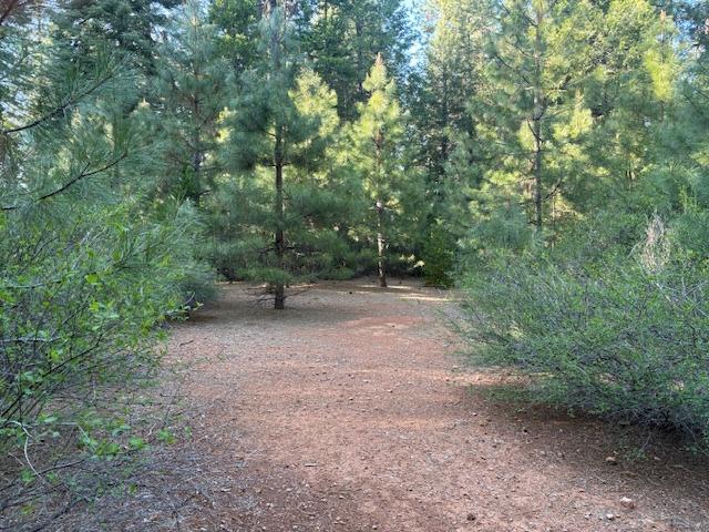 Double Rainbow Rd, Nevada City, California image 7