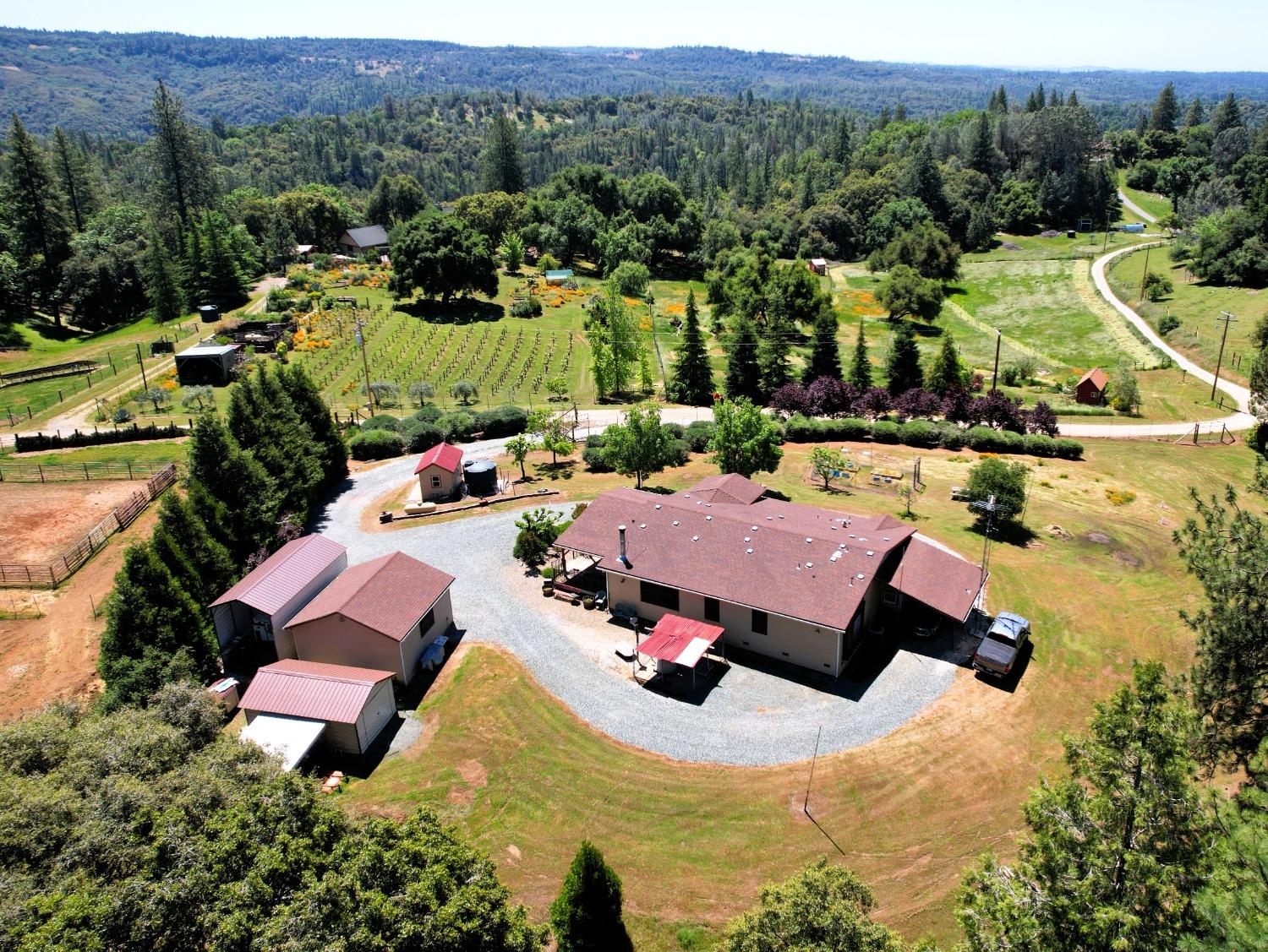 Detail Gallery Image 2 of 65 For 18145 Holly Rd, Fiddletown,  CA 95629 - 3 Beds | 2 Baths