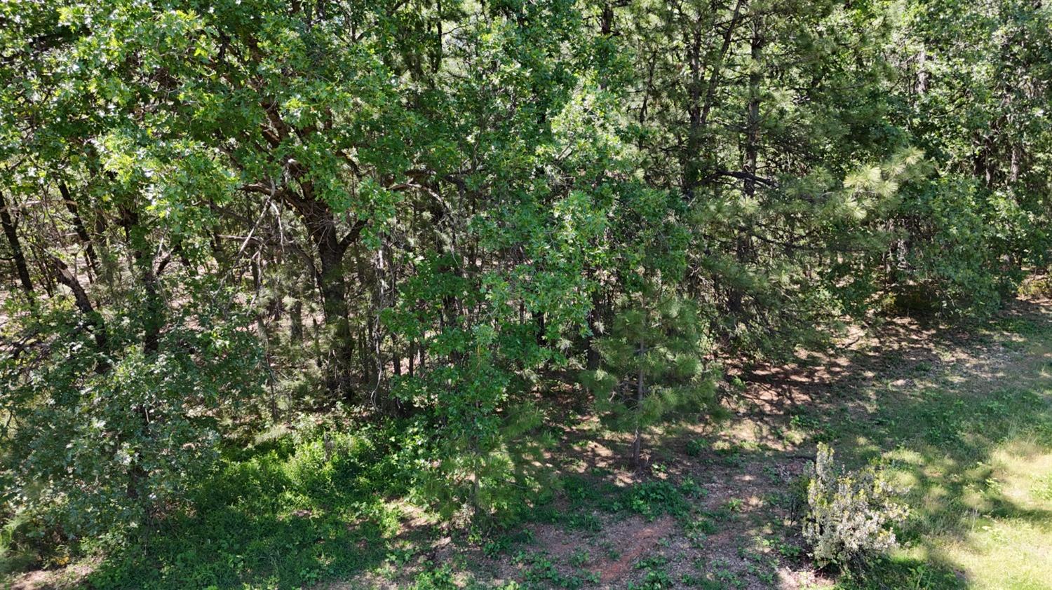 Detail Gallery Image 7 of 14 For 15156 State Highway 49, Grass Valley,  CA 95949 - – Beds | – Baths