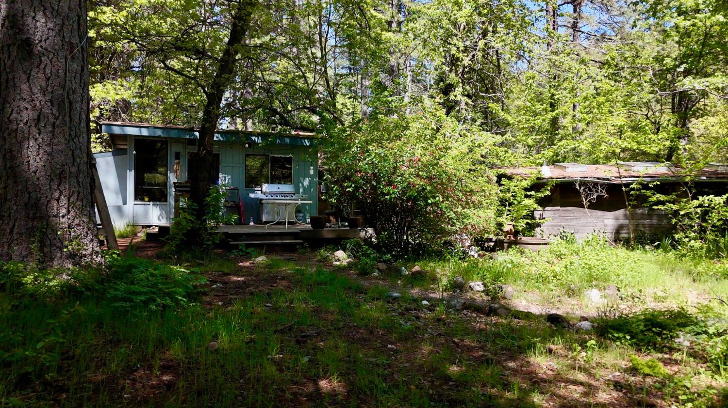 Detail Gallery Image 3 of 39 For Address Is Not Disclosed, Nevada City,  CA 95959 - – Beds | – Baths