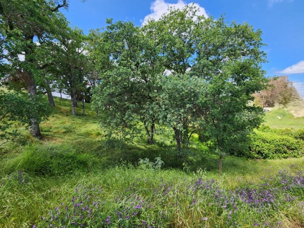 Detail Gallery Image 1 of 7 For 2922 Cascade Ln, Valley Springs,  CA 95252 - – Beds | – Baths