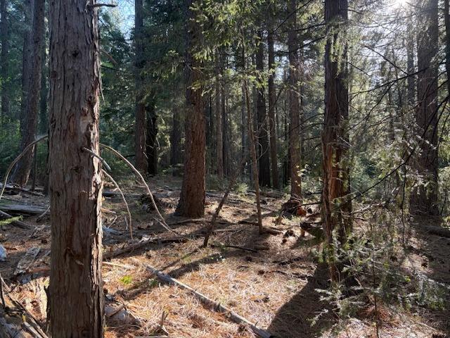 Double Rainbow Rd, Nevada City, California image 8