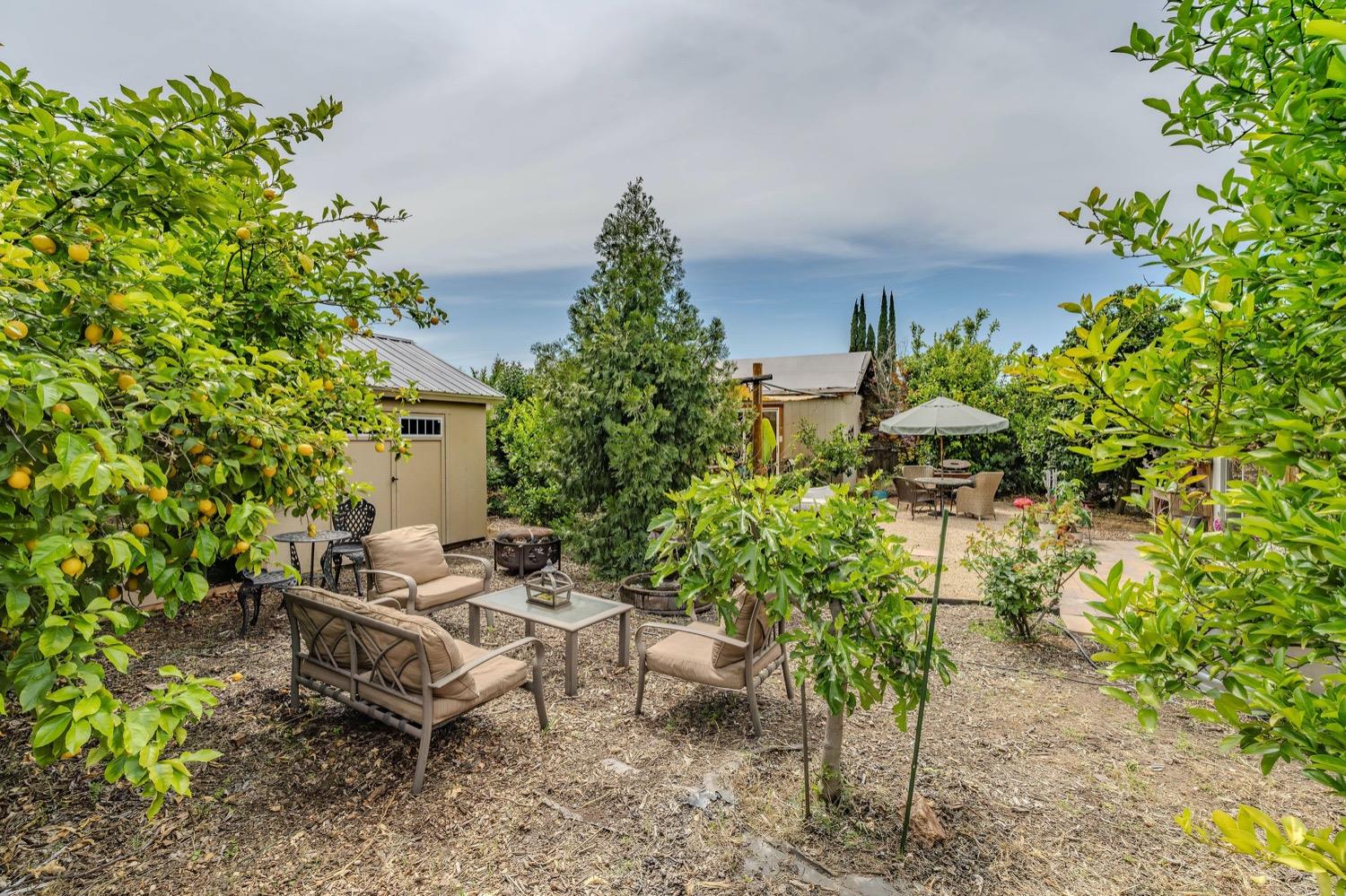 Detail Gallery Image 39 of 63 For 8912 Ramstad Ave, Fair Oaks,  CA 95628 - 3 Beds | 1 Baths