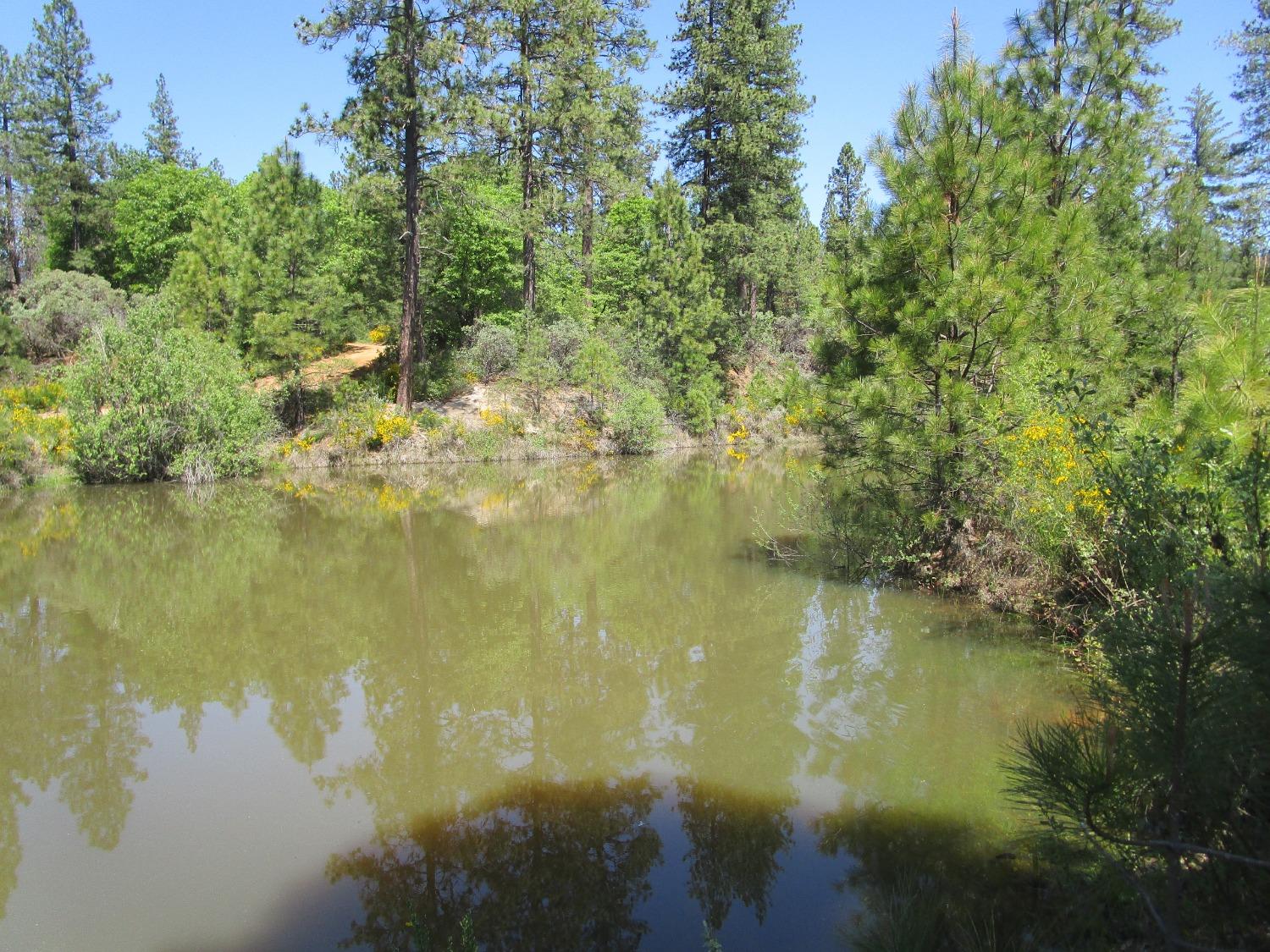Detail Gallery Image 10 of 10 For 16289 Badger Hill Rd, Nevada City,  CA 95959 - – Beds | – Baths