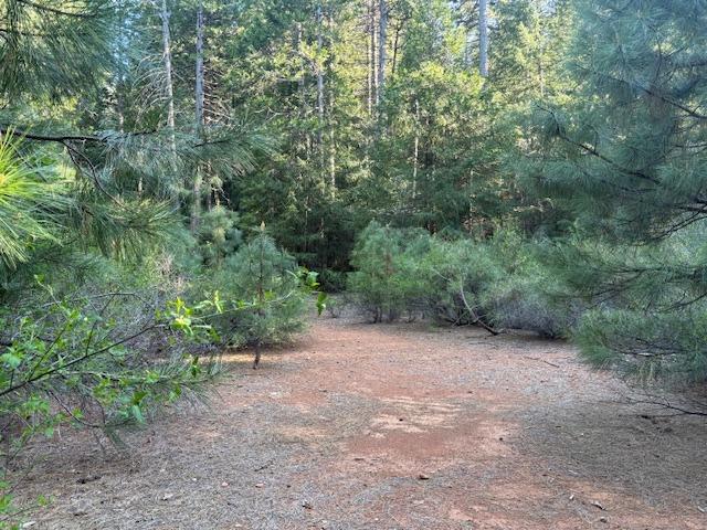 Double Rainbow Rd, Nevada City, California image 6