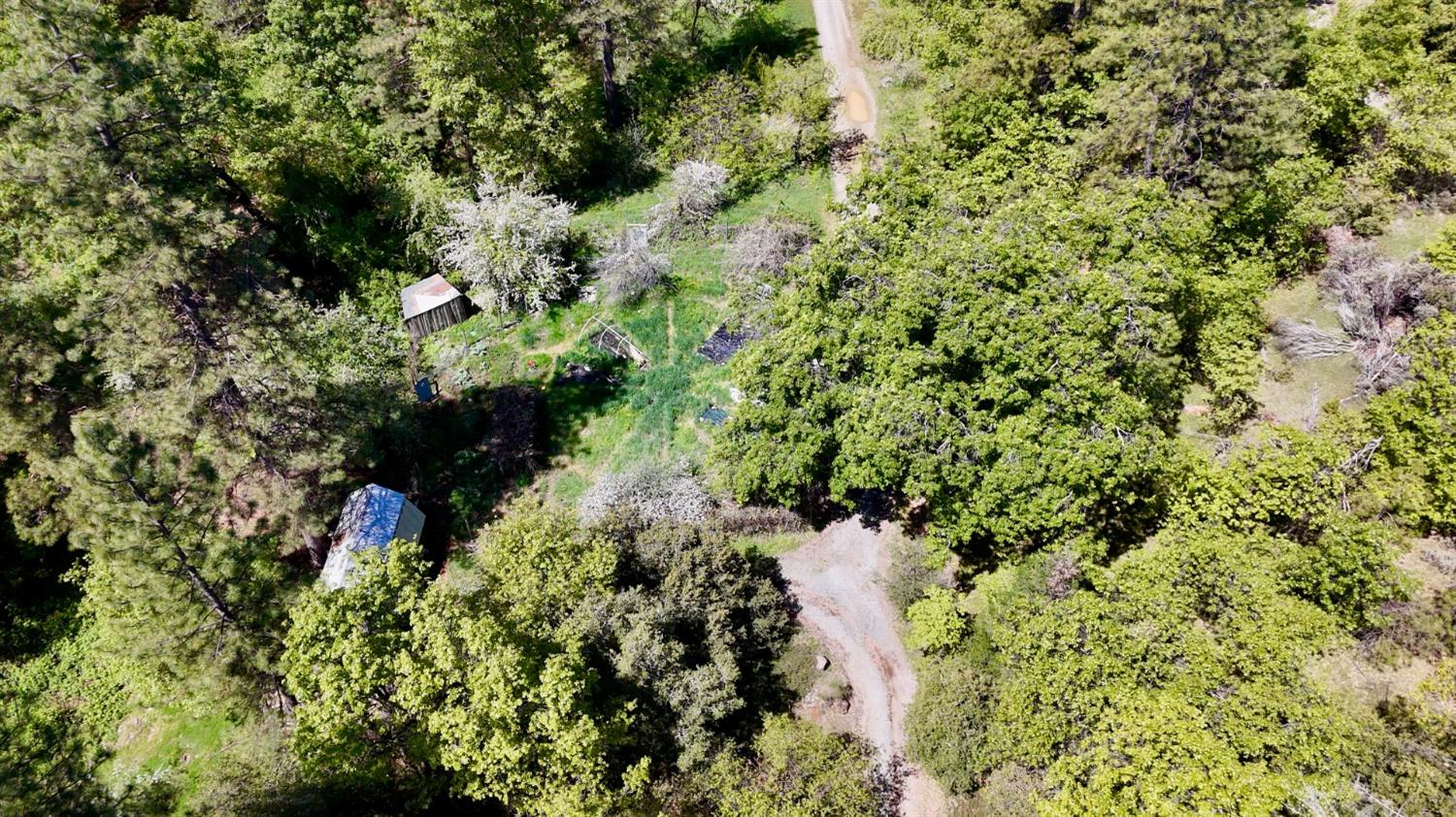 Detail Gallery Image 8 of 39 For Address Is Not Disclosed, Nevada City,  CA 95959 - – Beds | – Baths
