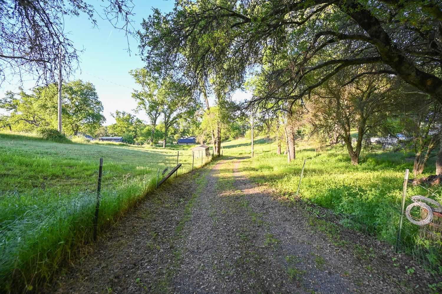 Detail Gallery Image 6 of 70 For 13930 Fiddletown Rd, Fiddletown,  CA 95629 - 3 Beds | 2/1 Baths