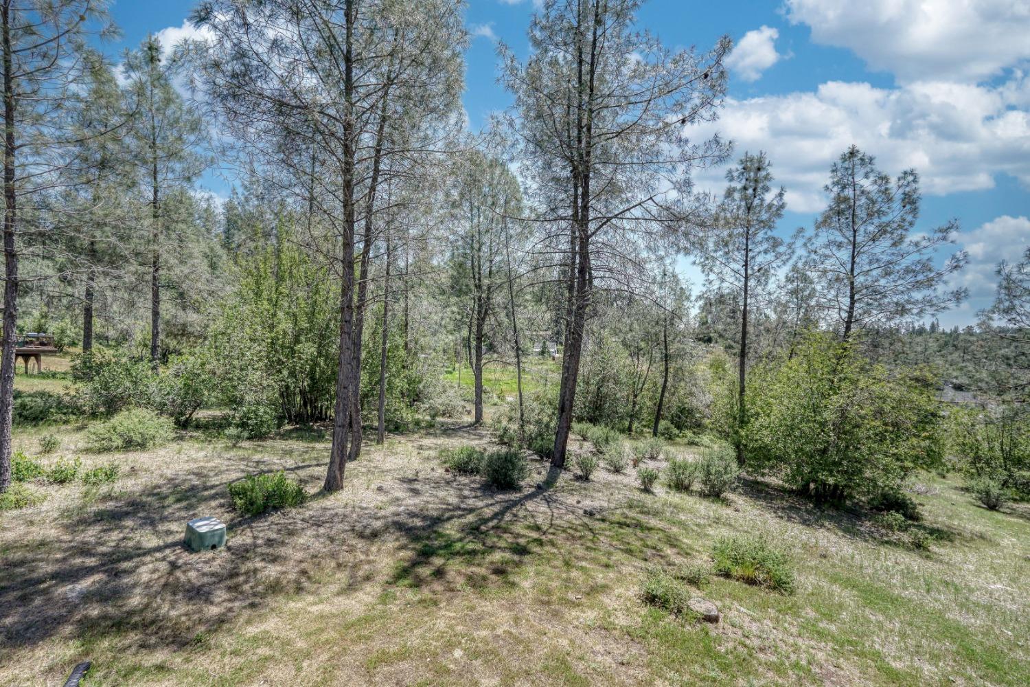 Detail Gallery Image 55 of 71 For 1470 Ponderosa Way, Colfax,  CA 95713 - 3 Beds | 2 Baths