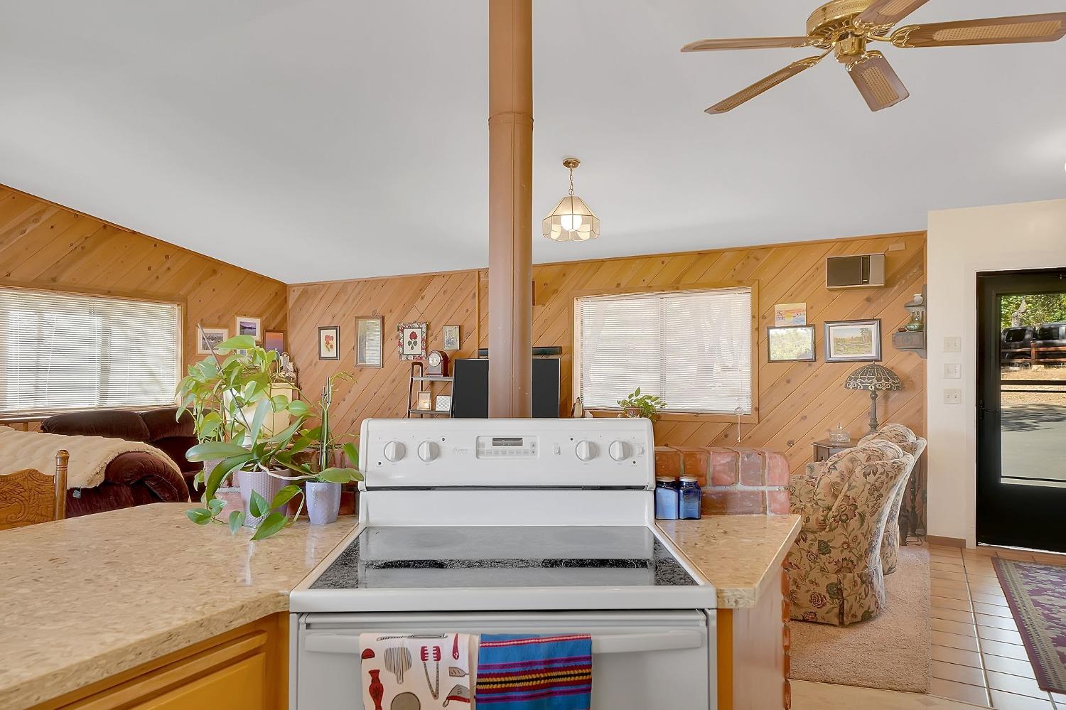 Detail Gallery Image 58 of 73 For 13771 West Ct, Pine Grove,  CA 95665 - 3 Beds | 2 Baths