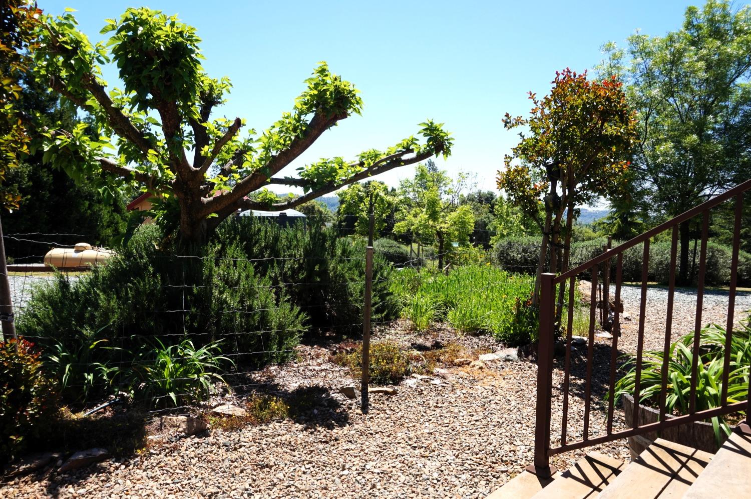 Detail Gallery Image 48 of 65 For 18145 Holly Rd, Fiddletown,  CA 95629 - 3 Beds | 2 Baths