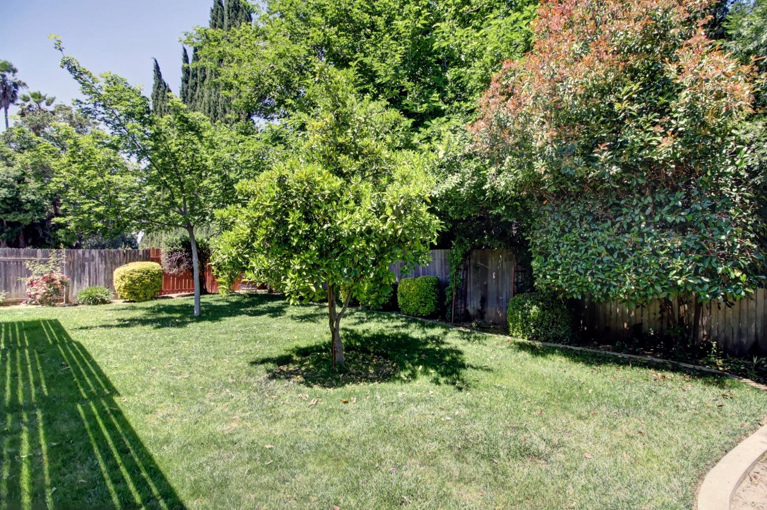 Detail Gallery Image 47 of 50 For 1531 Hazel Ave, Yuba City,  CA 95993 - 3 Beds | 2 Baths