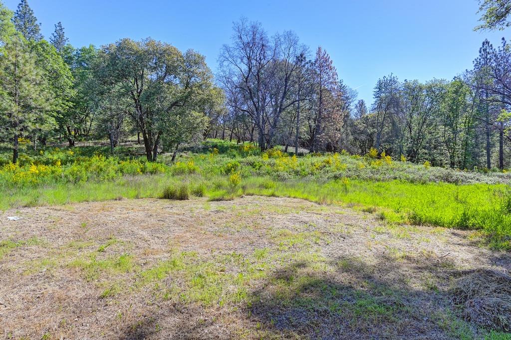 Greenwood Road, Garden Valley, California image 1