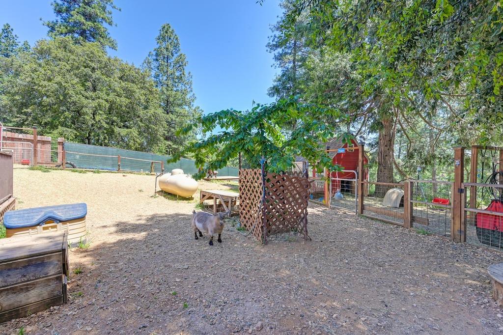Detail Gallery Image 22 of 38 For 20427 Starlight Ln, Grass Valley,  CA 95945 - 3 Beds | 2 Baths