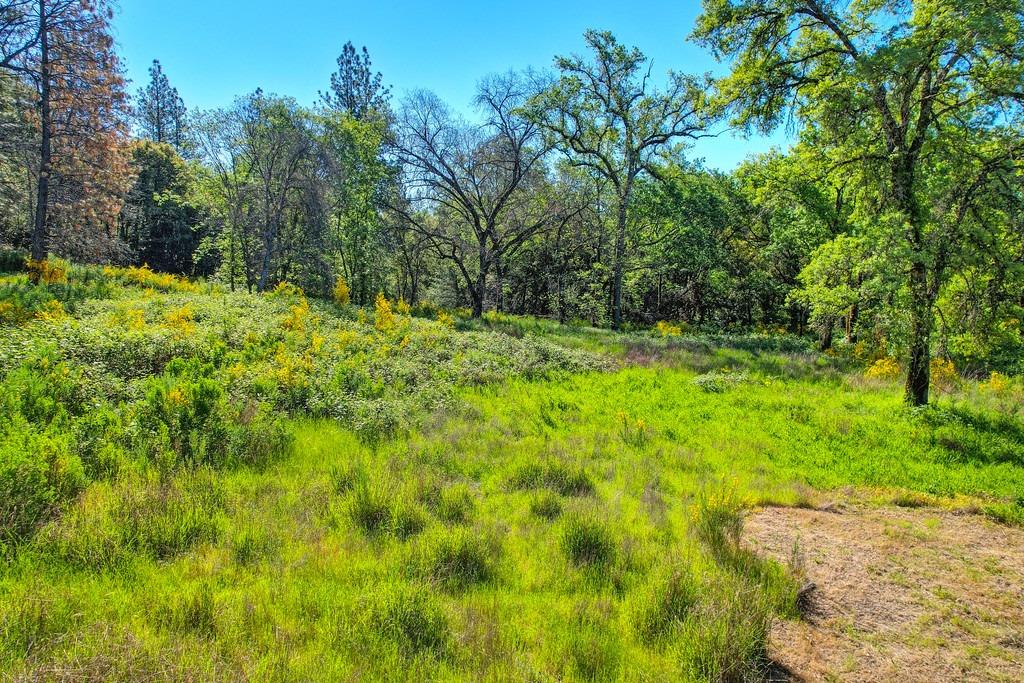 Greenwood Road, Garden Valley, California image 24