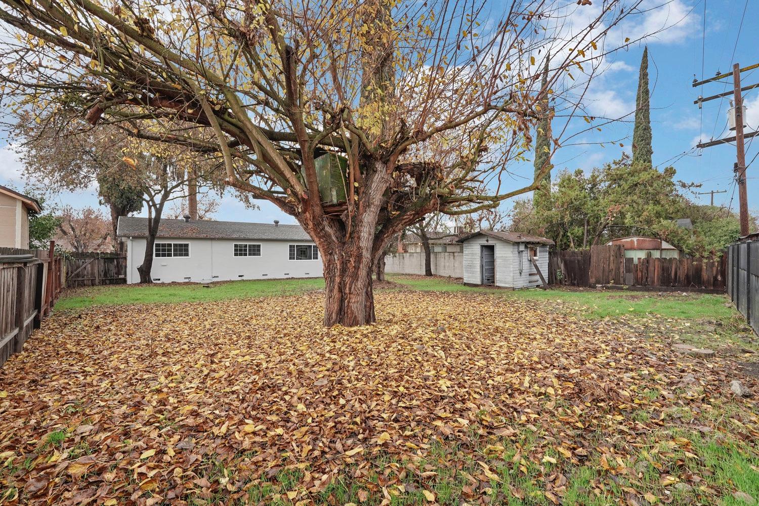 Jean Avenue, Stockton, California image 37